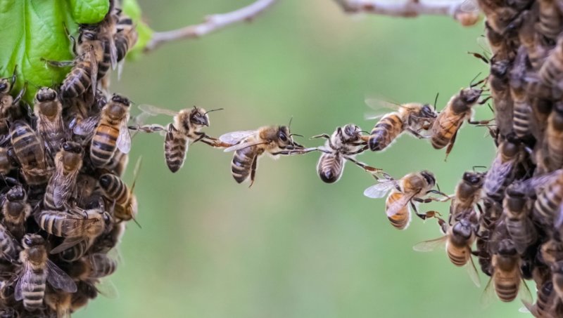 Why supply chain sustainability matters