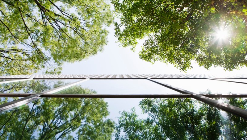 2020/21 Year in review: Sustainable investing