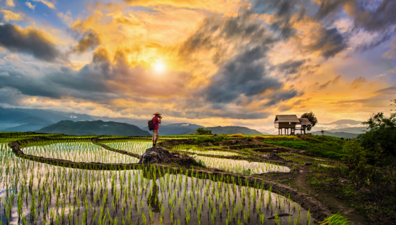 Equities outlook: Mind the volatility
