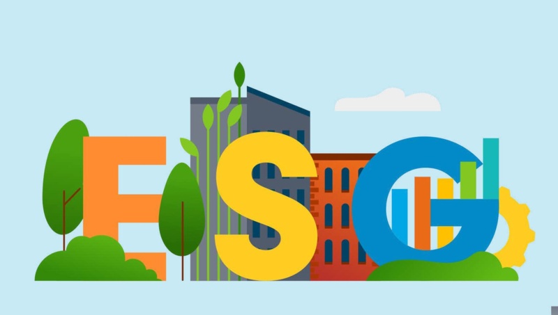 8 sustainable investing terms you should know