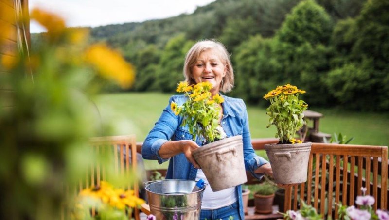 Retirement: The now and the then