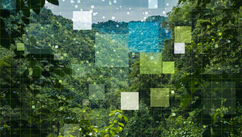 Investment implications from COP26