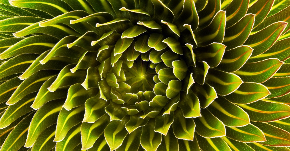 Lynch Group Diversity, climate change and modern slavery Fidelity