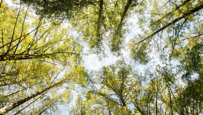 Sustainable investing at Fidelity