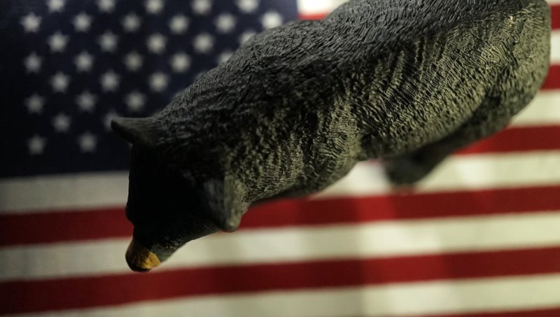Is the US bear market here to stay?