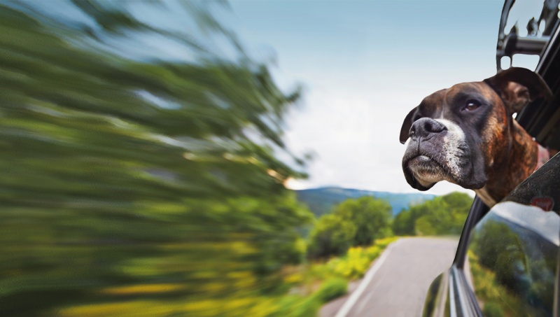 On the move: ETF special report