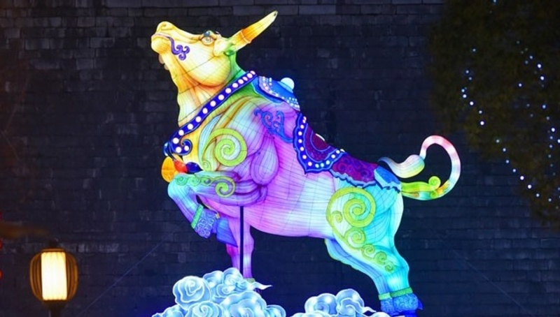 What's ahead for China's markets in the Year of the Ox