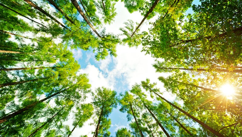 Sustainability is key for value creation