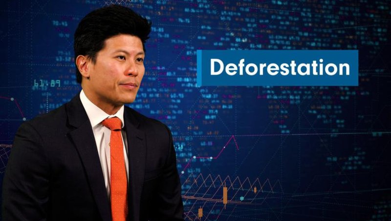 Three key priorities in sustainable investing in 2022